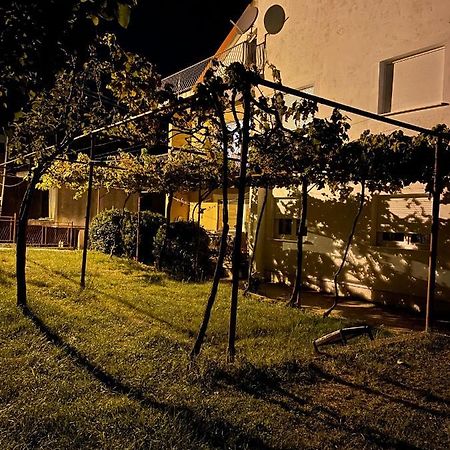 Entire 1-Bedroom Apartment With Free Parking Подгориця Екстер'єр фото